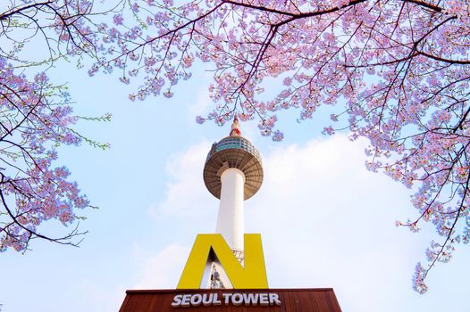 SEOUL - APRIL 9 : N Seoul Tower  and Cherry blossom in Spring. N Seoul Tower Located on Namsan Mountain in central Seoul.Photo taken on April 9,2015 in seoul,South Korea.