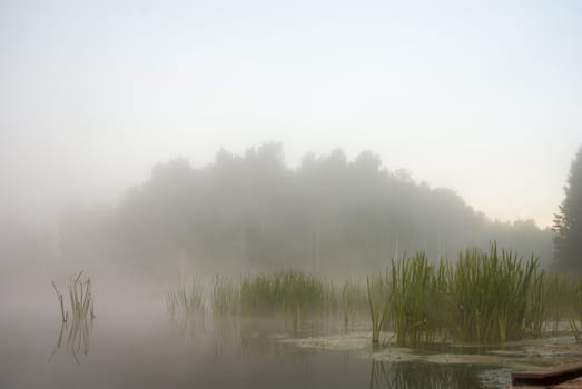 landscape with natural fogy river, nature series