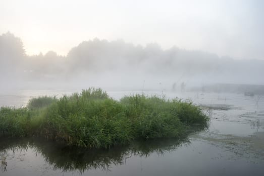 landscape with natural fogy river, nature series