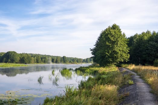 landscape with natural fogy river, nature series