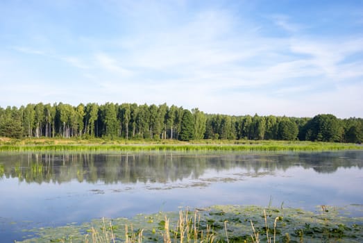 landscape with natural fogy river, nature series