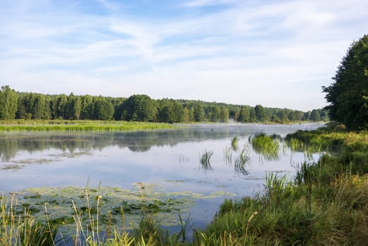 landscape with natural fogy river, nature series