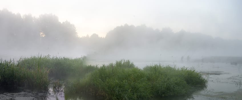 landscape with natural fogy river, nature series