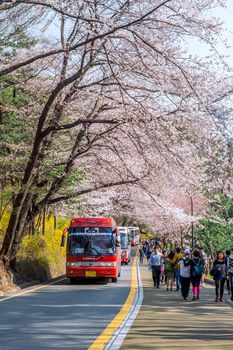 SEOUL,KOREA - APRIL 11 : Cherry blossom in Seoul tower namhansan. Tourists taking photos of the beautiful scenery around Seoul tower namhansan in Seoul,Korea on April 11,2015.