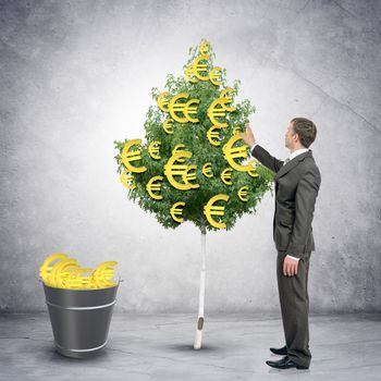 Businessman collecting euro signs from tree with bucket full of dollars, easy money concept