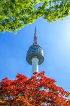 Seoul Tower and red autumn maple leaves at Namsan mountain in South Korea.