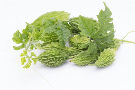 Green Momordica or karela with leaf isolate on white bacground