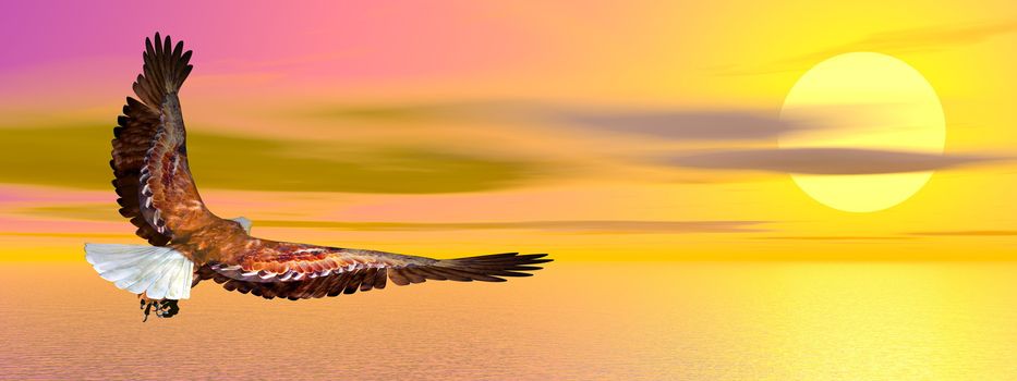 Eagle flying upon ocean by sunset - 3D render