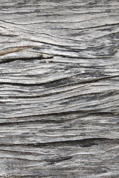 Old weathered gray wood texture for background