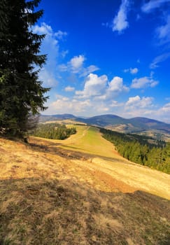 Sunny spring in Carpathian mountains. Fields and hills
