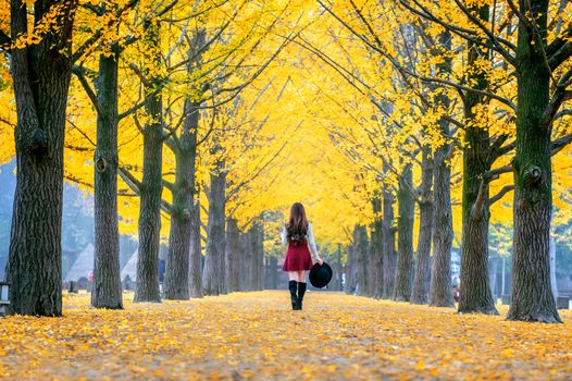 Beautiful Girl with Yellow Leaves in Nami Island, Korea