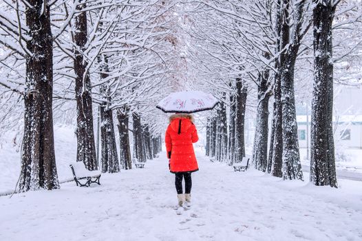 Girl with umbrella walking on the path and row trees. Winter.