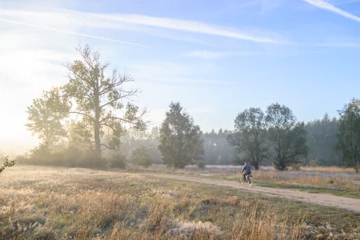 morning fog over a meadow, nature series