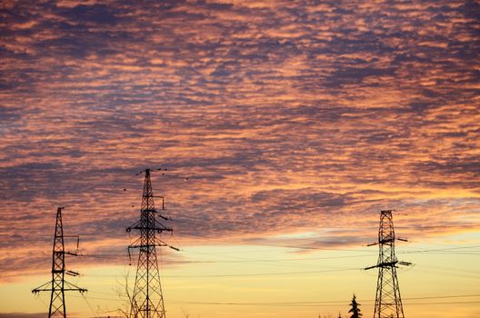 Dawn, sunrise with purple and orange sky, clouds. Skyscape with electric poles and cables.