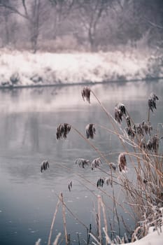 Snow and winter. Belarus village, countryside in winter