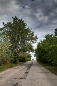 Country road among the trees of little forest. Red bus of public transport with the lights on on the horizon. Intense stormy clouds.