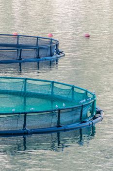 Big Cages for fish farming in Montenegro