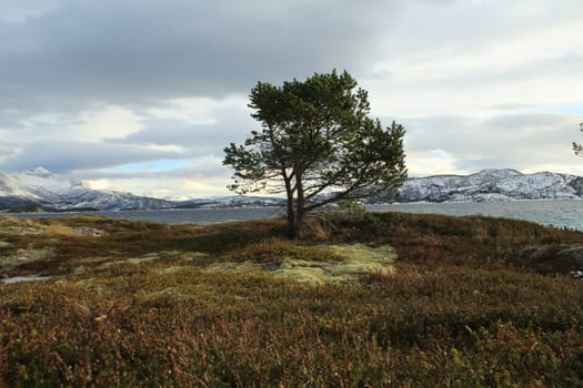 Nature, Mountains, Landscapes