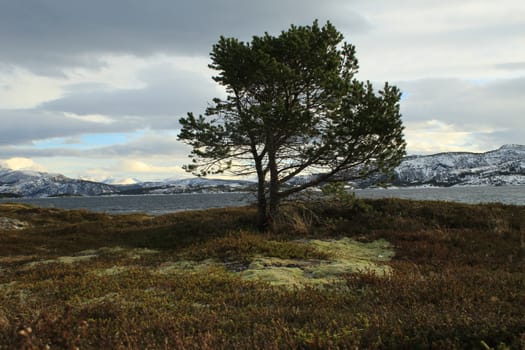 Nature, Mountains, Landscapes