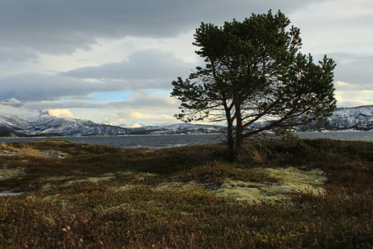 Nature, Mountains, Landscapes