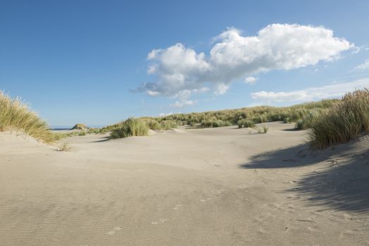 Traces in the dunes nearby the North Sea Beach of the island Terschelling in the Netherlands
