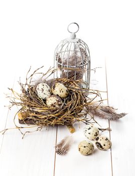 quail eggs on white wooden background