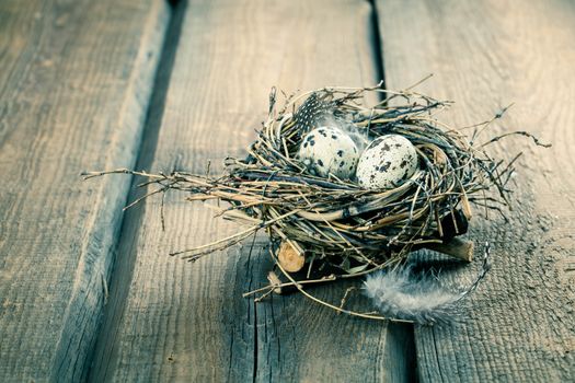 quail eggs with feather on wooden background