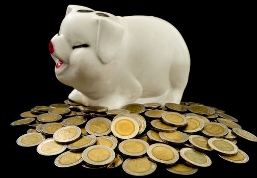 coin, piggy bank on black background, saving concept,investment concept,business concept.