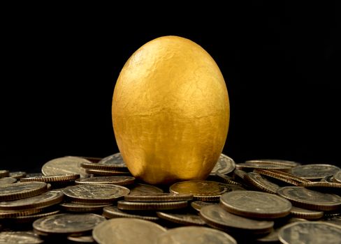 Golden eggs on black background. investment concept,business concept.