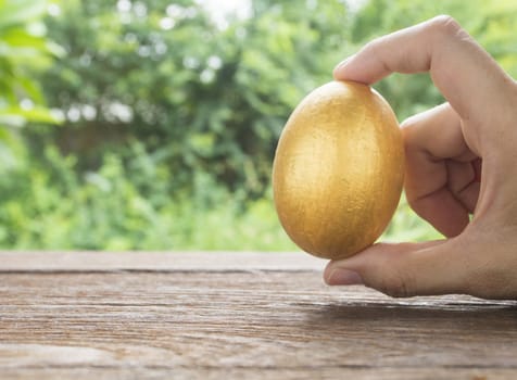 Close-up shot of a Woman's hand holding a golden egg.