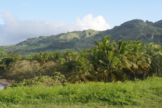 Caribbean landscape Dominican Republic