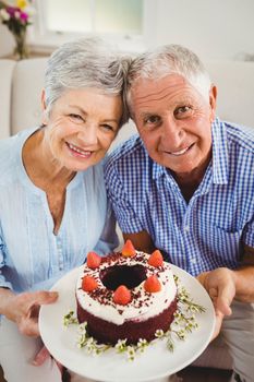 Portrait of senior couple holding a cake and smiling in living room