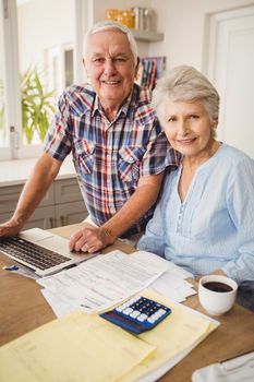 Portrait of senior couple checking their bills at home
