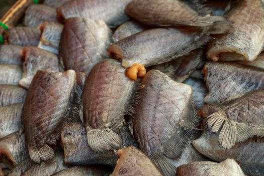 Snakeskin Gourami Fish,Pla Salit fish  dry  local cuisine thailand