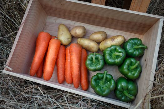 Wooden boxes with fresh vegetables