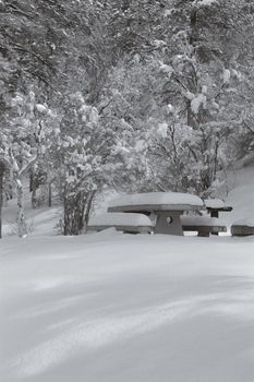 view of picnic table and benches in the park covered with snow