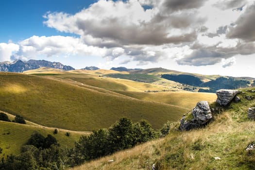 View of meadows in the mountains that create sinuous lines.