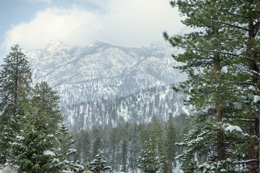 view of  nice winter  mountain landscape  during  falling  snow