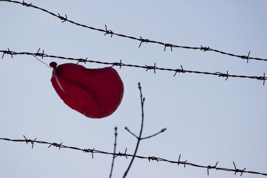 red ballon stuck in barbed wire, blue sky