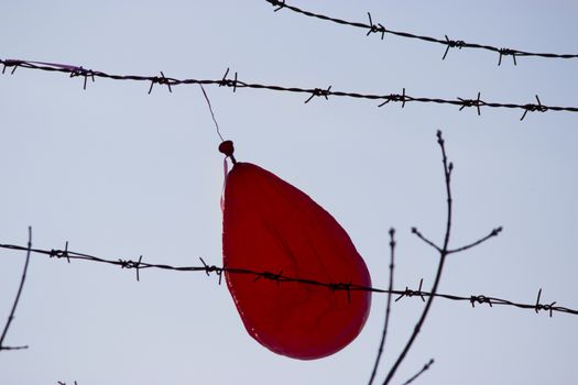 red ballon stuck in barbed wire, blue sky