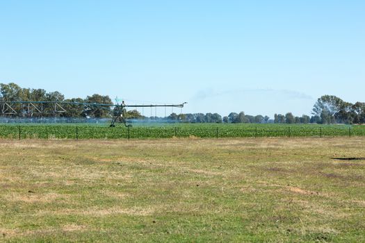 A Lateral Move Irrigation System, sometimes called a Linear Move, Wheelmove or Side Roll System, irrigating crops in Australia.