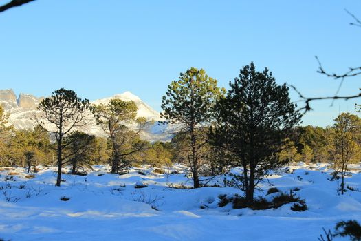 Nature, Mountains, Landscapes