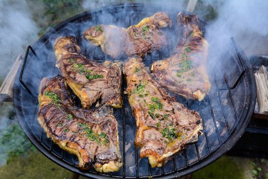 Roast beef, cooked in the outdoor barbecue in a rural location. Sauce: olive oil, salt, parsley.