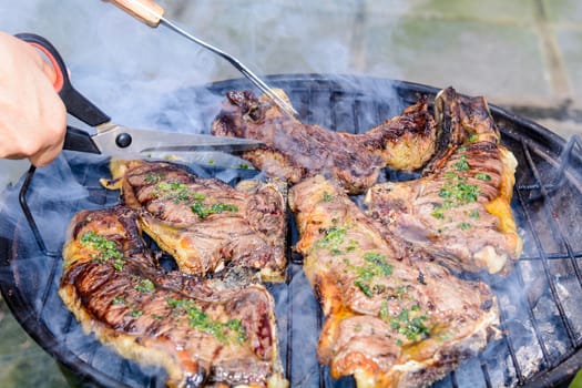 Roast beef, cooked in the outdoor barbecue in a rural location. Sauce: olive oil, salt, parsley.