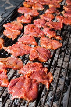 marinaded meat prepared for barbecue