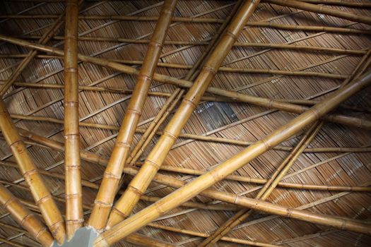 Bamboo Structure in Thailand countryside