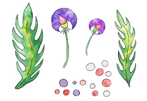 Watercolor hand-drawing, fantasy plants, isolated on white, elements. Flowers and leaves