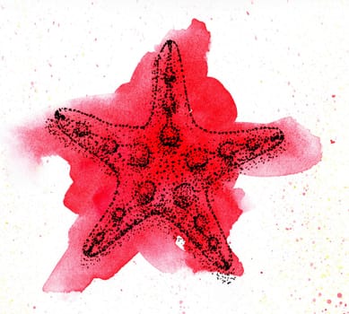 Picture starfish. Watercolor and ink. Bright red spot