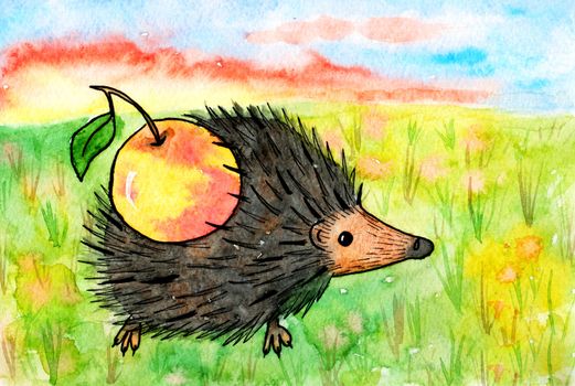 Picture hedgehog with apple. Bright children's drawing by hand. Watercolor and ink. Hand drawn artistic painting illustration