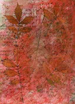 Abstract watercolor background handmade branch plant. Mixed media background. Crumpled paper, leaves, spray